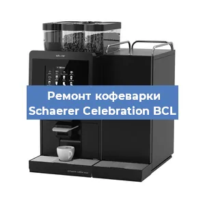 Замена прокладок на кофемашине Schaerer Celebration BCL в Челябинске